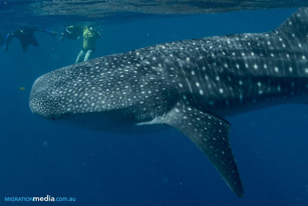 681eb728-2d82-4ebb-bfbe-abb37927015f