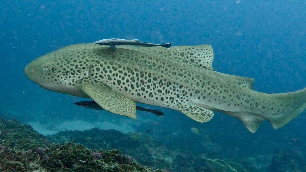 bca42fef-d84a-4ef1-a33a-a37b66d38d1b