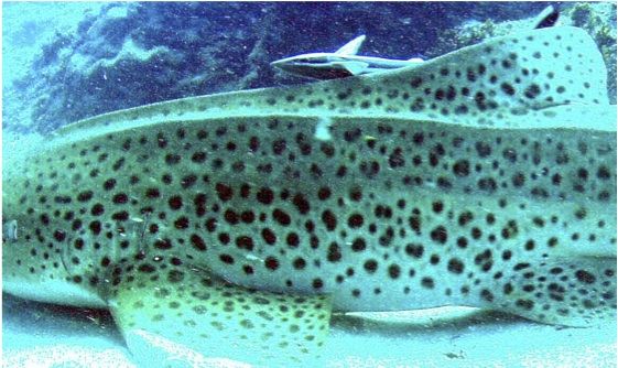 24636ed7-119c-4788-8cd7-830ce6d6d5b3