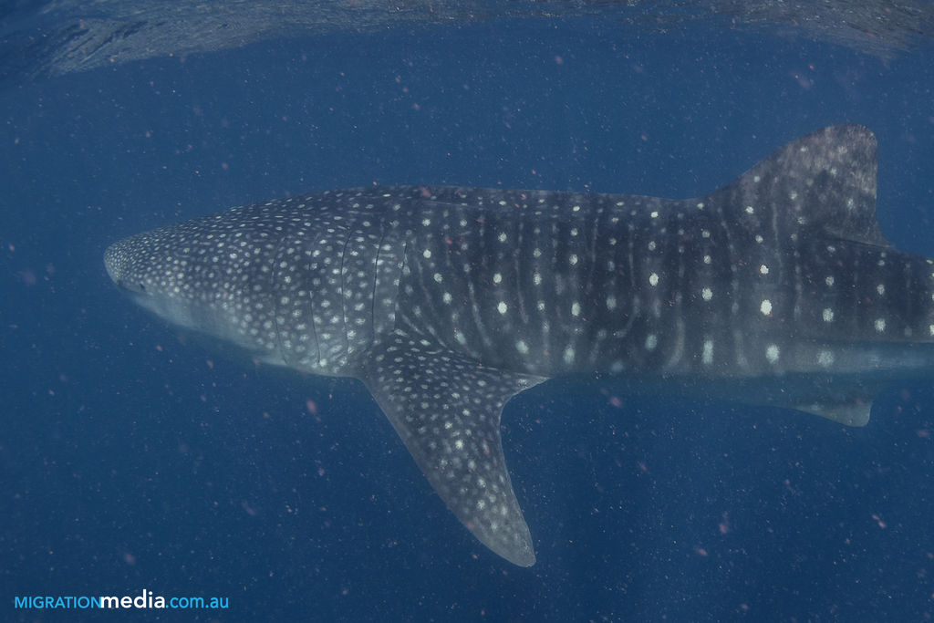 17405f23-0cd0-4857-9681-7ec9a682888c