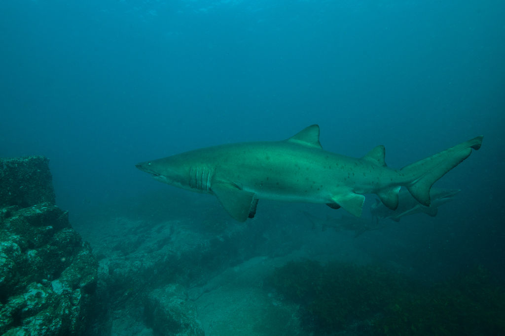 a1992de2-00db-42ad-87e6-611376589d0e