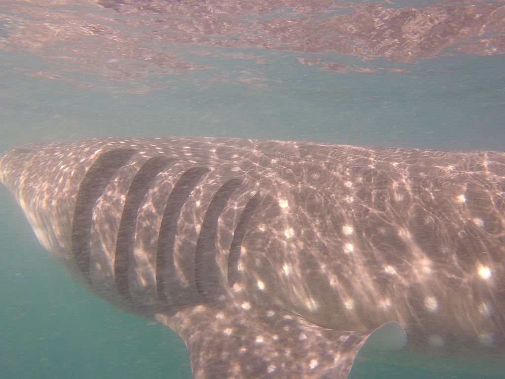 a499d84f-684a-4416-905d-570d0d1267f9