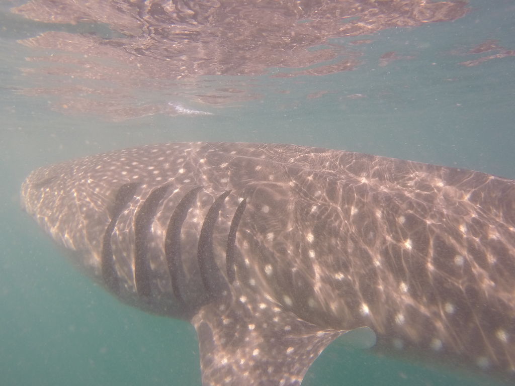 a499d84f-684a-4416-905d-570d0d1267f9