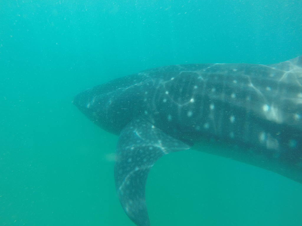 a499d84f-684a-4416-905d-570d0d1267f9