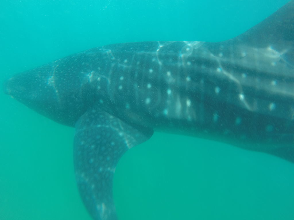 a499d84f-684a-4416-905d-570d0d1267f9