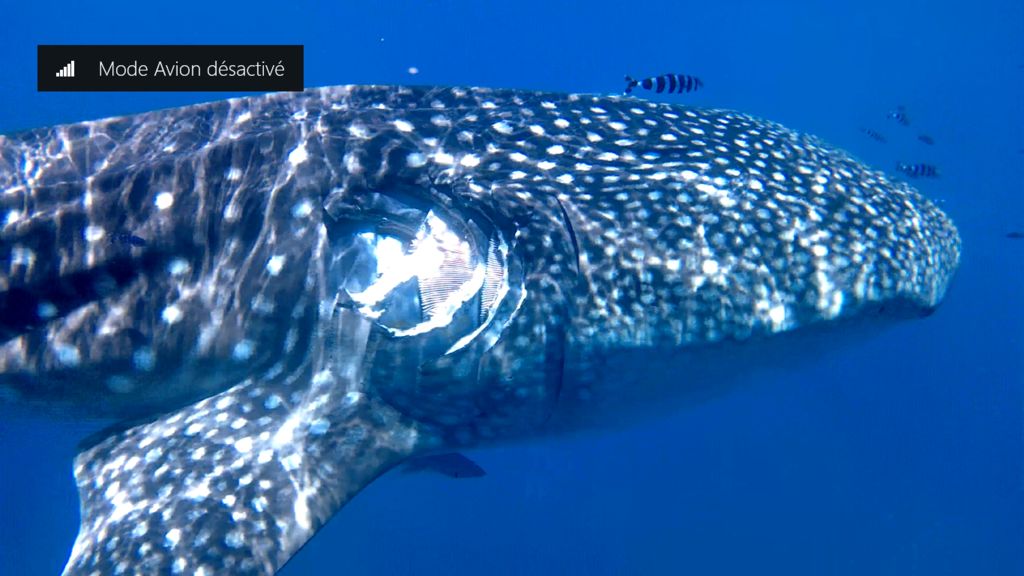 c9a86eaa-3582-4a6d-acdf-e04ecf62fcca