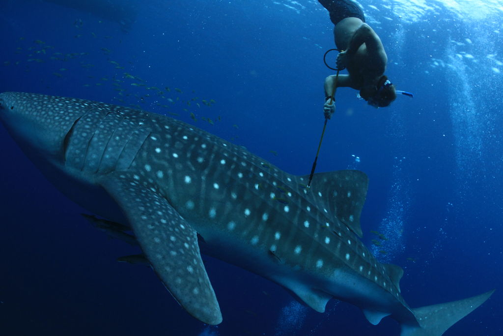 b3db7ffb-210a-4501-a588-75bc9ba151d1