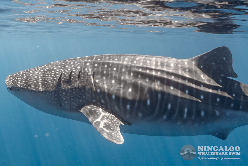 23d54b86-be37-4af0-a985-64dc9f86f64e