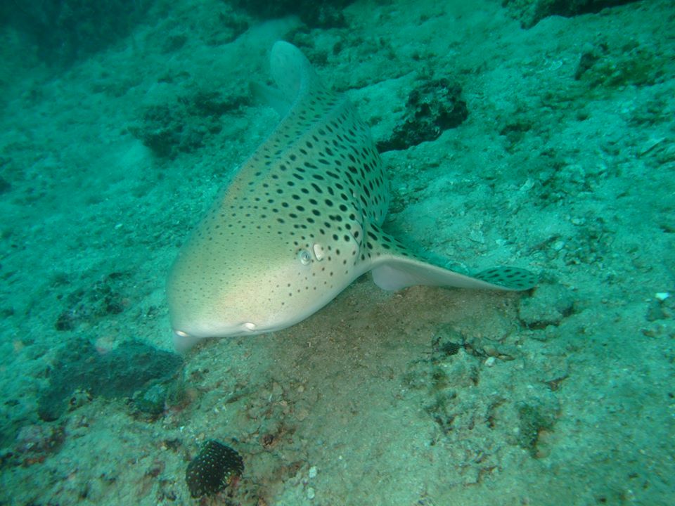 8f9f4994-cf06-413b-aa89-3b5e62fc5a8d