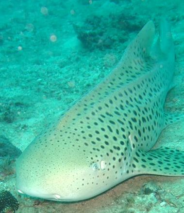 8f9f4994-cf06-413b-aa89-3b5e62fc5a8d