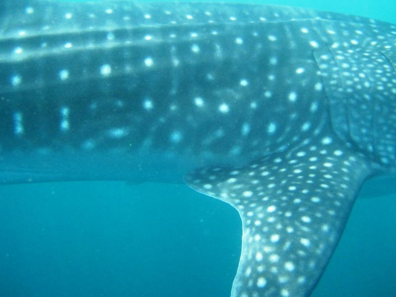 2b7c3f33-15e9-441d-8881-ca1ee40c06fd