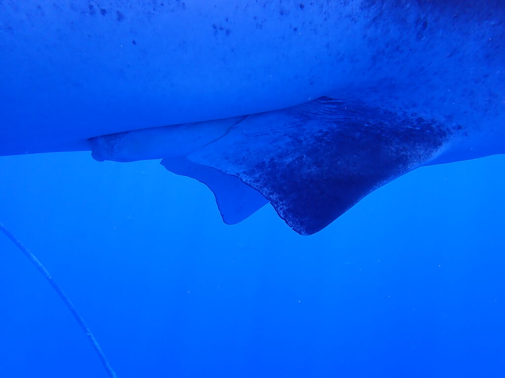 b9edfe4f-f50c-4d6d-9a01-693dc37296ed