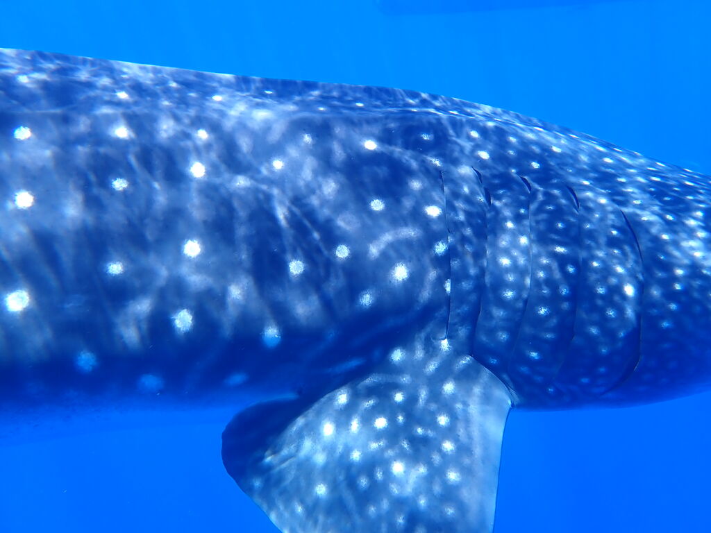 b9edfe4f-f50c-4d6d-9a01-693dc37296ed