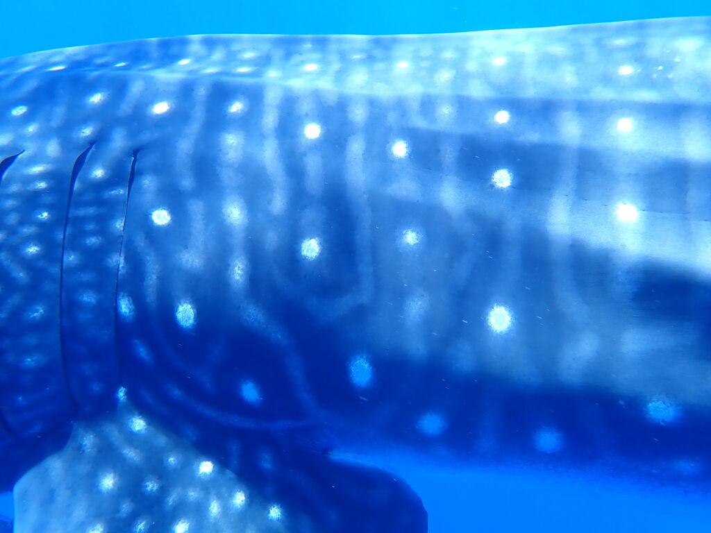 b9edfe4f-f50c-4d6d-9a01-693dc37296ed