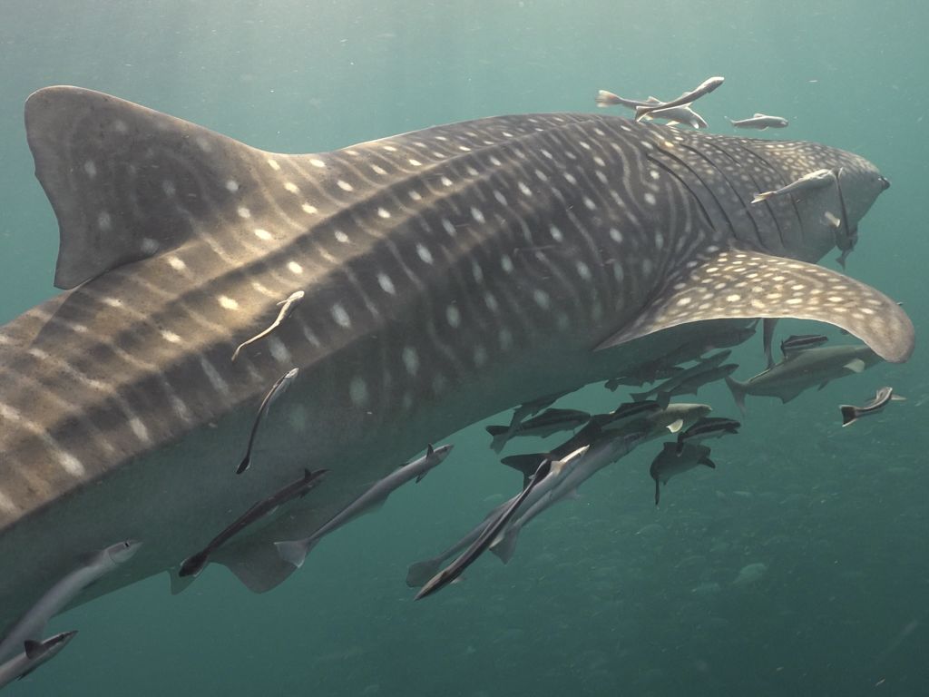 9d2b1b74-0f14-486a-967b-0eaa426b2cde