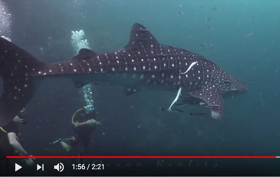 2a481f6f-795f-4bad-a53a-66e3bdad6a72