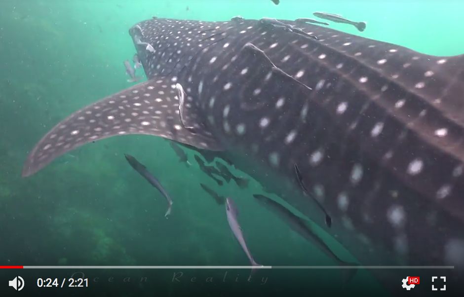 2a481f6f-795f-4bad-a53a-66e3bdad6a72