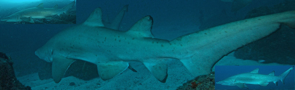 63a72196-0213-4fa2-b7e5-82753f6fc312