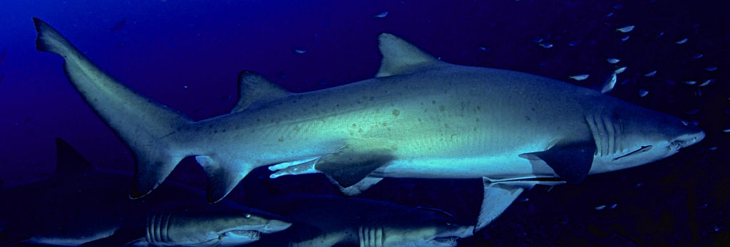 73272ad0-ba08-4d72-9c18-9b38c3e71dd3