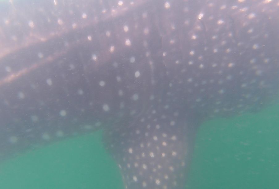 637be410-ce7a-4967-bf77-9af4fca4a77e