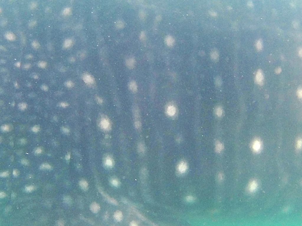 4371a992-762d-44f6-8bea-ec7ce825b4d8