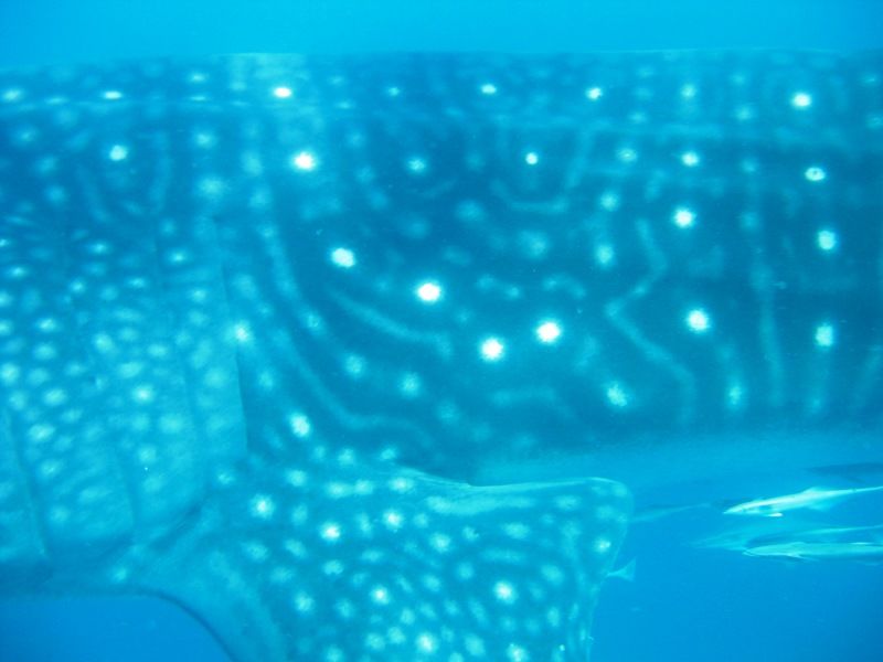 c68cad80-fe81-4965-8223-e7c242f6e5eb