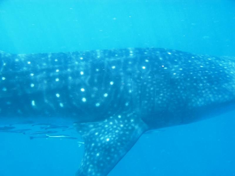 c68cad80-fe81-4965-8223-e7c242f6e5eb