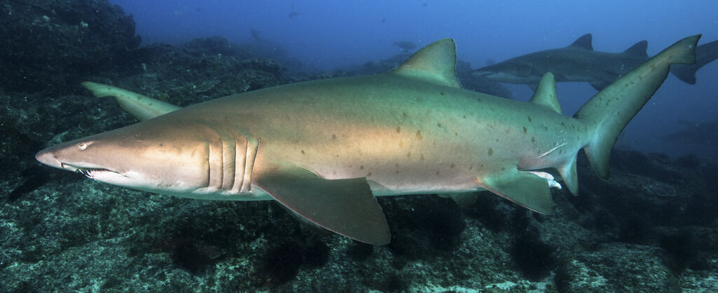 44c422bf-c6da-438c-8489-14e06bec1574