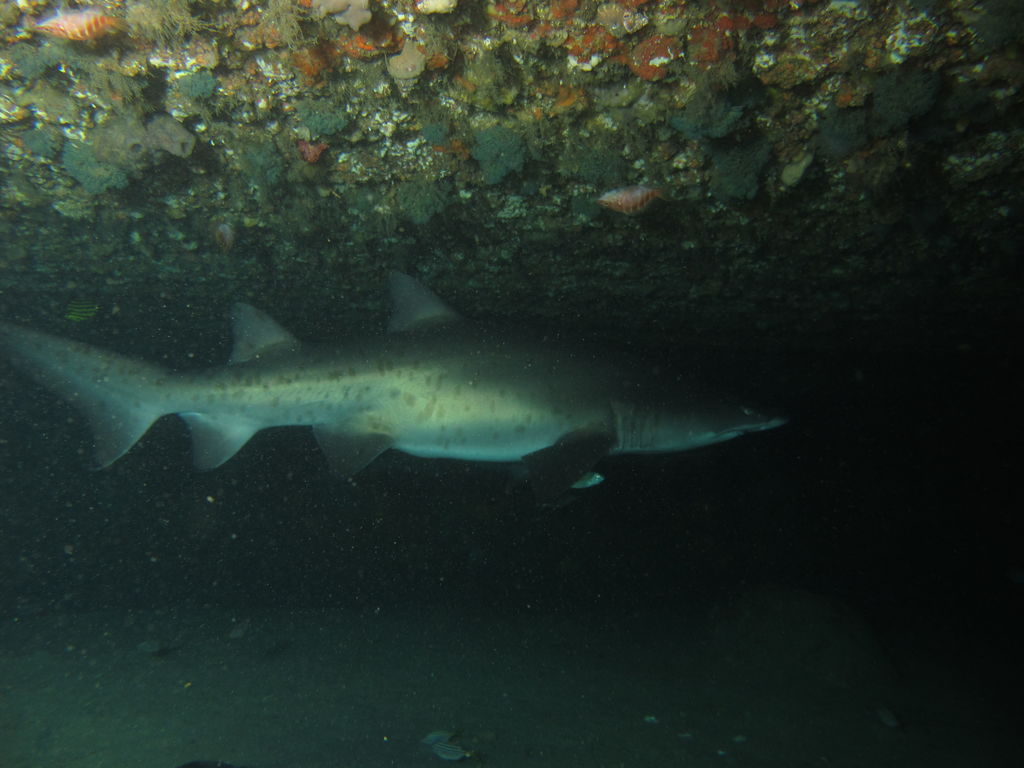 3ed16300-0f4f-4e84-98ae-76fac4504ce6