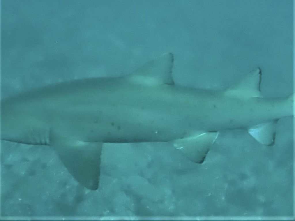 7d63de82-7395-4172-9528-9ee54961821a