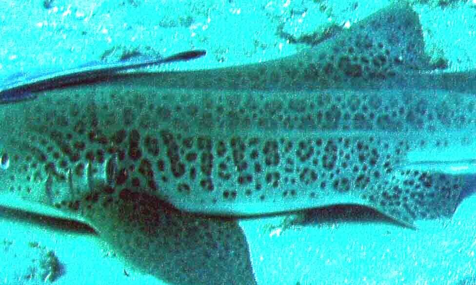 7d5f7372-9509-4666-a803-a843d5e0b0bc