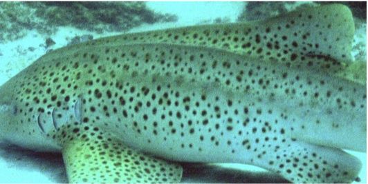 312957f9-df6e-4182-b973-236486bd109e