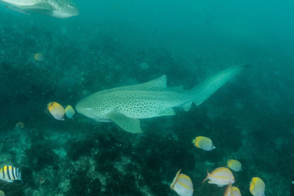 7728f5a8-1ecd-44d0-be79-edf8ef47b020