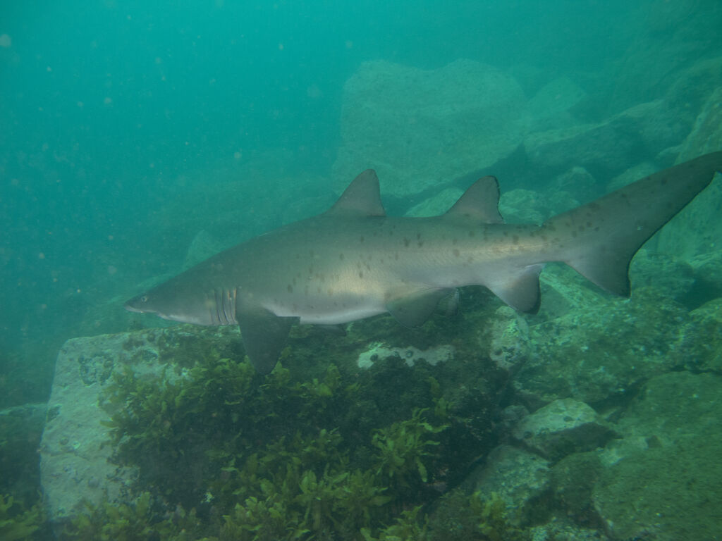 8c2ef0e5-a5e9-46de-b81d-01ff0aebfb7a