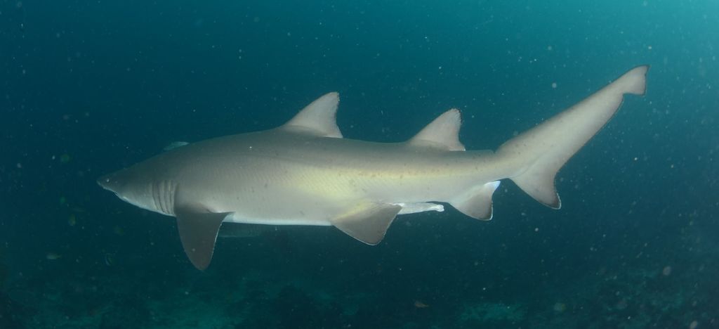 f21843a8-e646-430f-a6d5-2b413f5d9e73