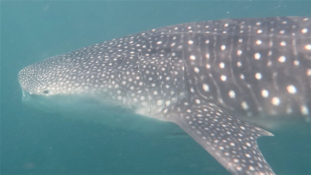 a00aafb3-4aa4-4853-96c0-9936750893b8