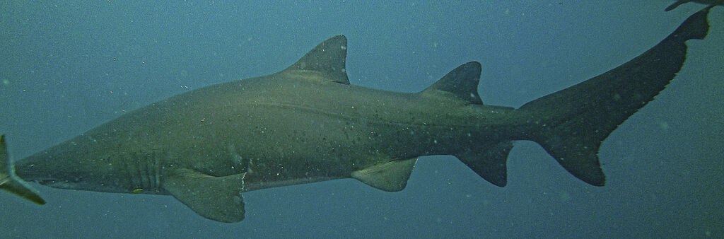 f45d97c5-f97d-474c-8a16-a484d9bc3187