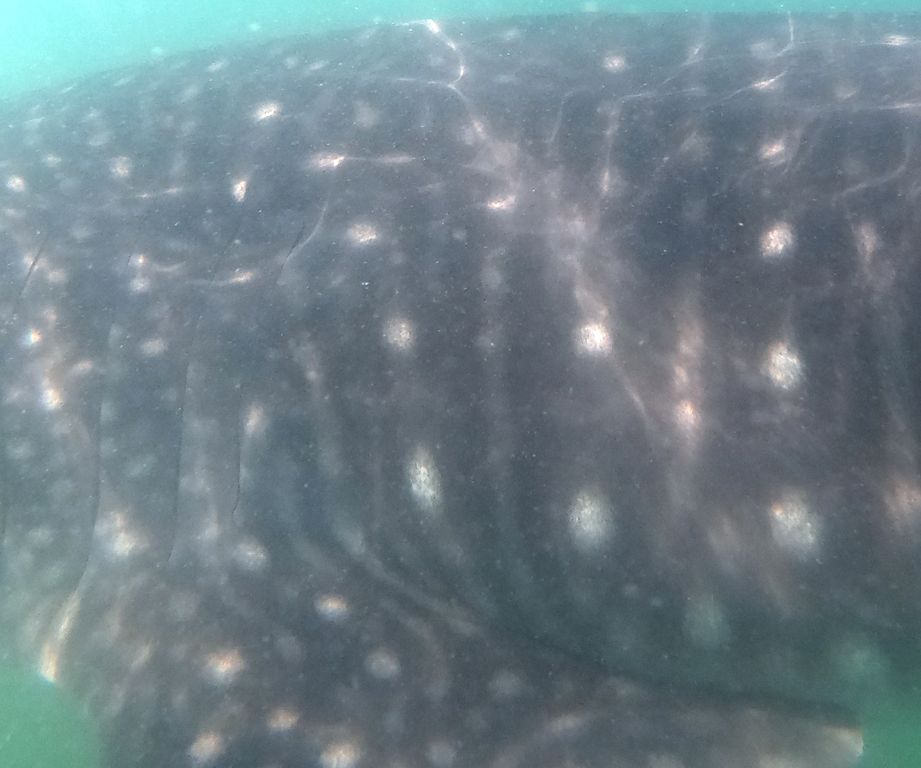 8ec909ee-3f92-4323-97cc-131c59bfcb6f