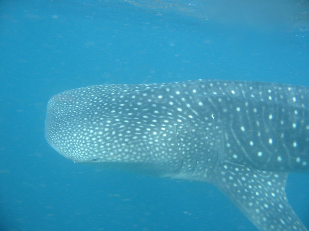 f6b588a3-bad4-4c76-a982-7e47f97bd8a6