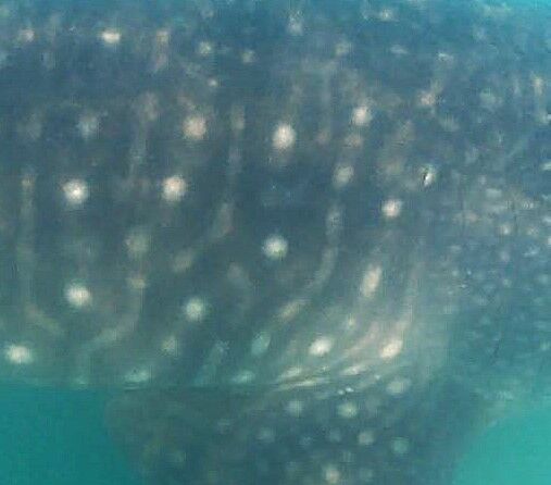 ba5e06ac-d097-4852-a20b-4e13fbff1026