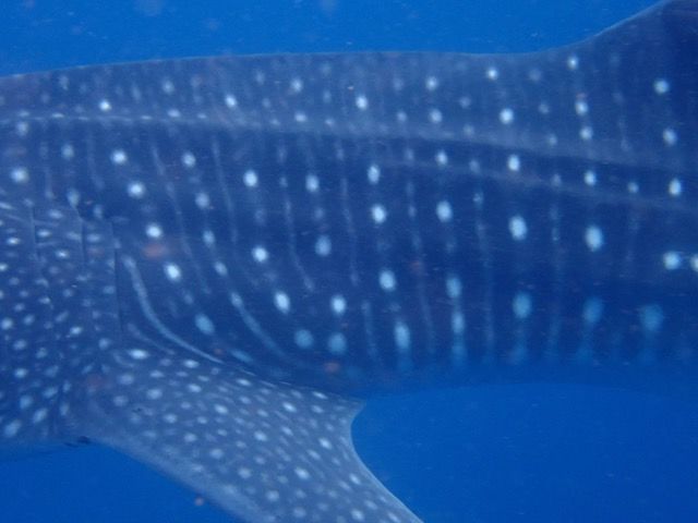 f8306f7a-8f80-4489-8da7-2639075dcc1a