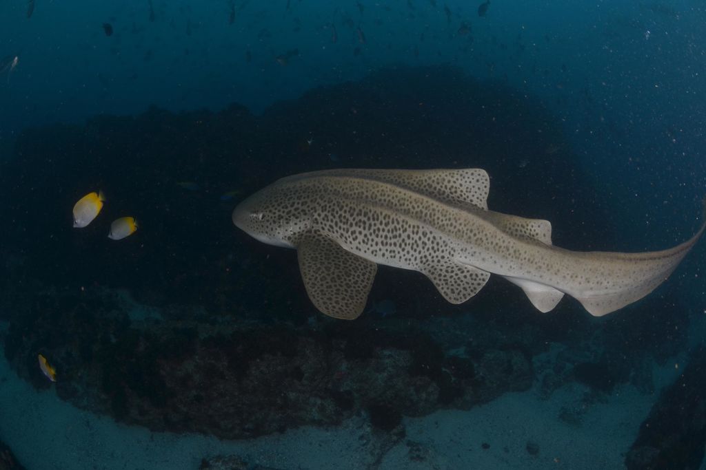 be9c2204-d4f9-41e0-a0d7-b3f62d560667