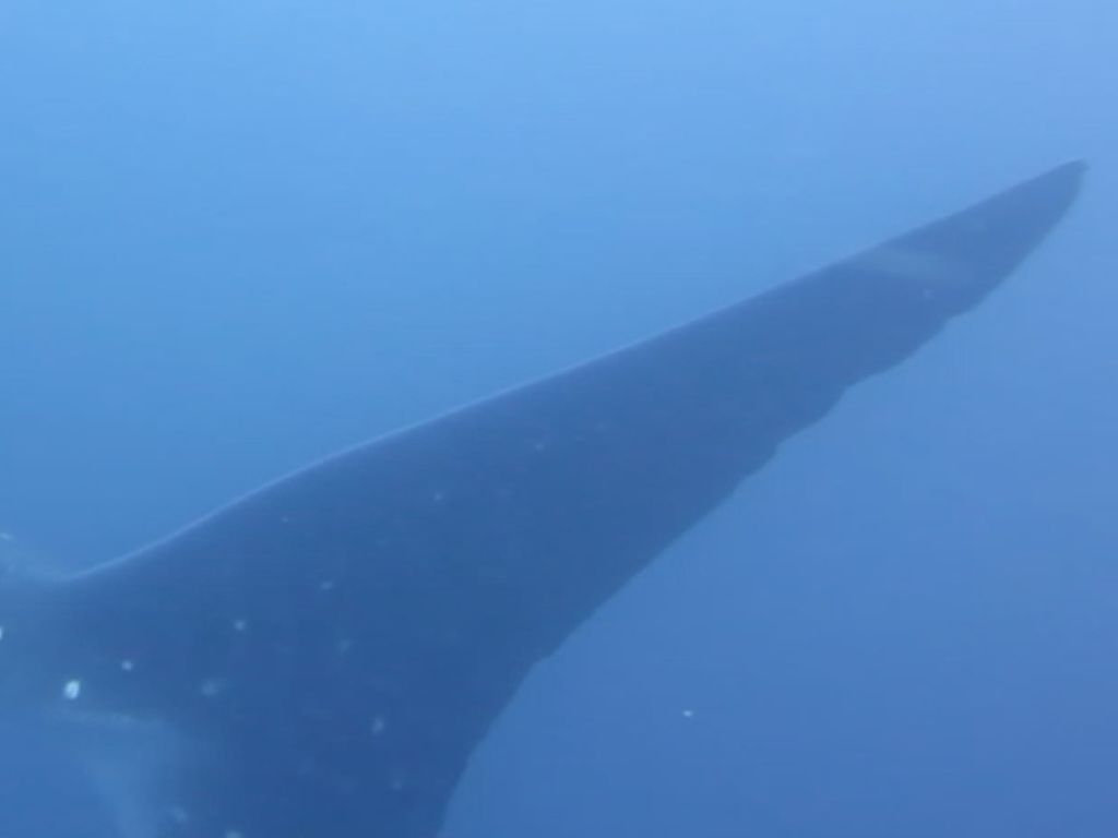 72ecda80-4a77-483c-a838-6a09edc5c5b9