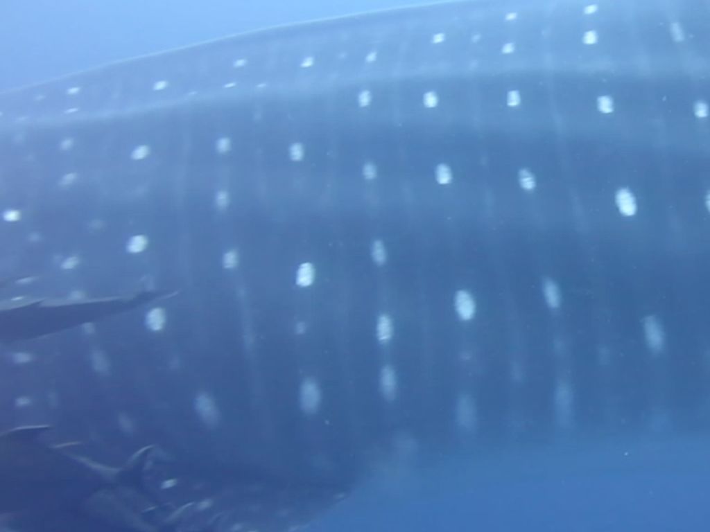 72ecda80-4a77-483c-a838-6a09edc5c5b9