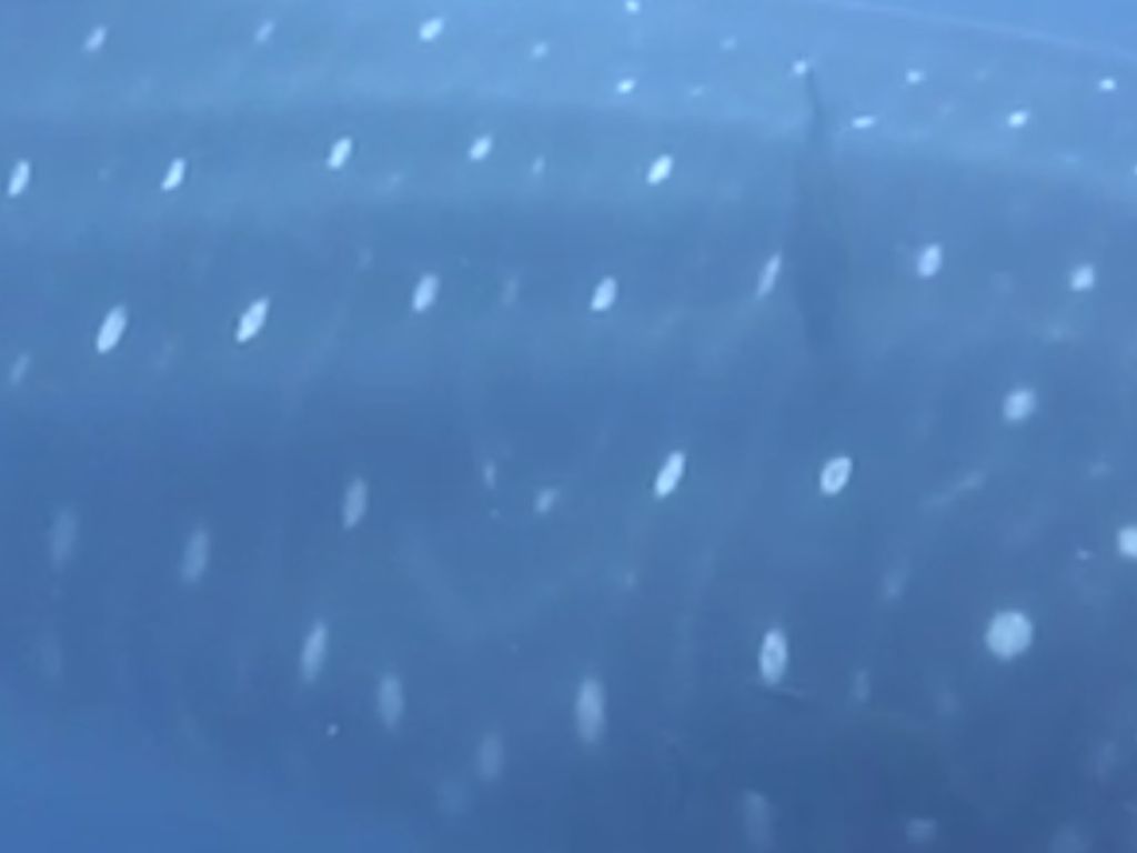 72ecda80-4a77-483c-a838-6a09edc5c5b9