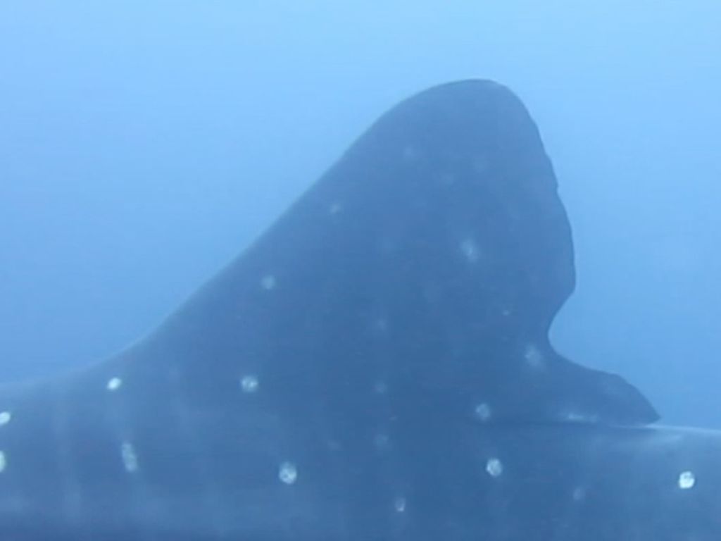 72ecda80-4a77-483c-a838-6a09edc5c5b9