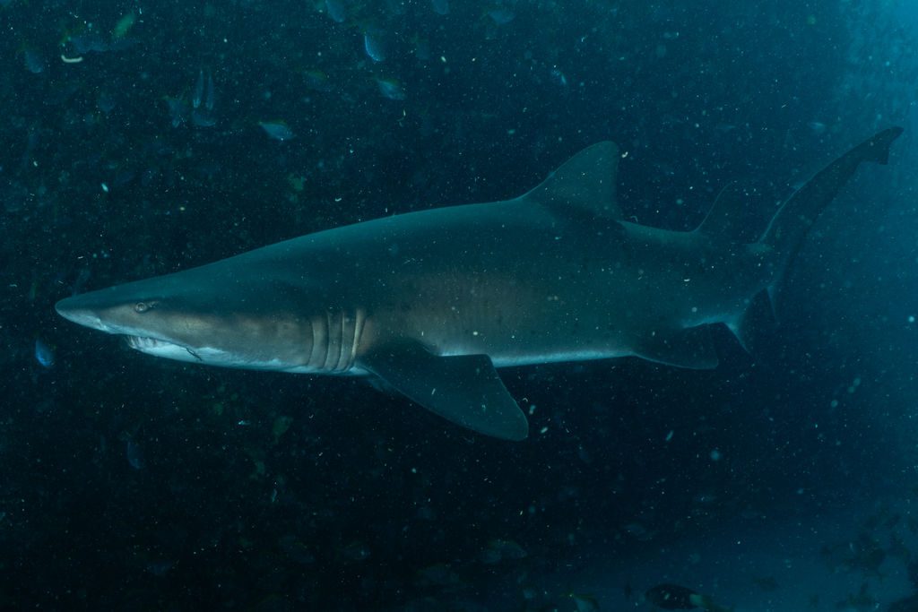 60720573-2548-4df3-a36d-a76efec24685