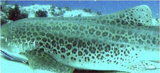 60f41a54-4de0-4395-83e7-5f860e554405