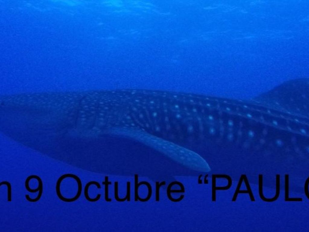 37f94ceb-0cc6-4013-91ce-0dfe88348861