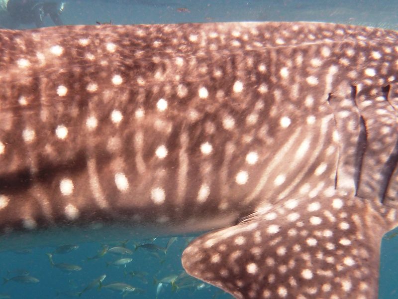 990c742e-c24e-4a9a-a57a-f0996d362cac